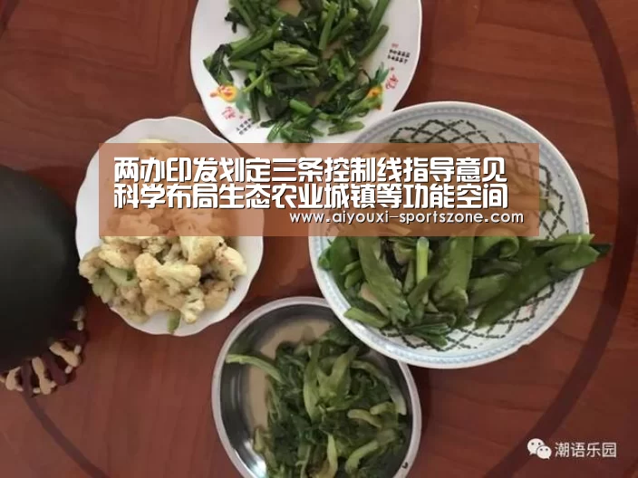 爱游戏电子游艺