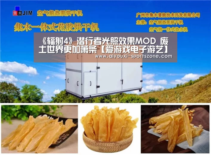 《辐射4》潜行者光照效果MOD 废土世界更加萧条【爱游戏电子游艺】(图3) 爱游戏综合娱乐平台