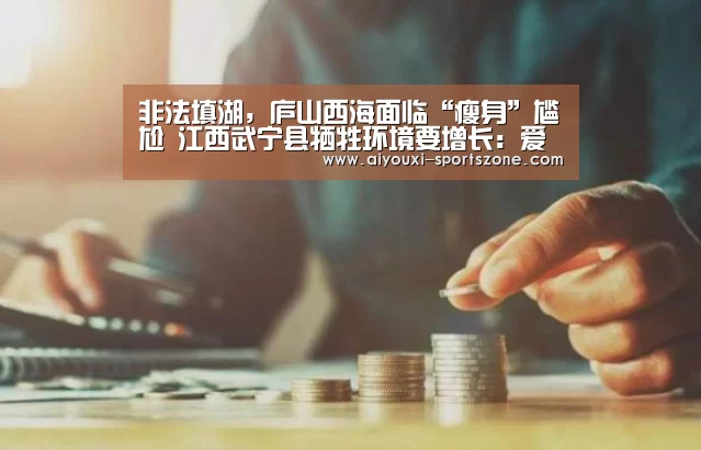 非法填湖,庐山西海面临“瘦身”尴尬 江西武宁县牺牲环境要增长:爱游戏综合娱乐平台(图3) 爱游戏真人娱乐中心